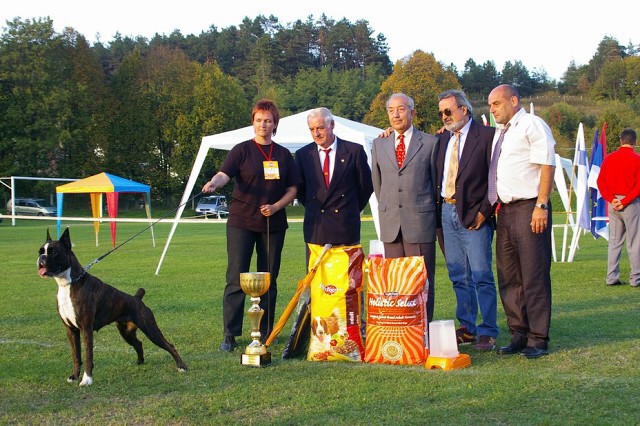 www.boxer-show.eu